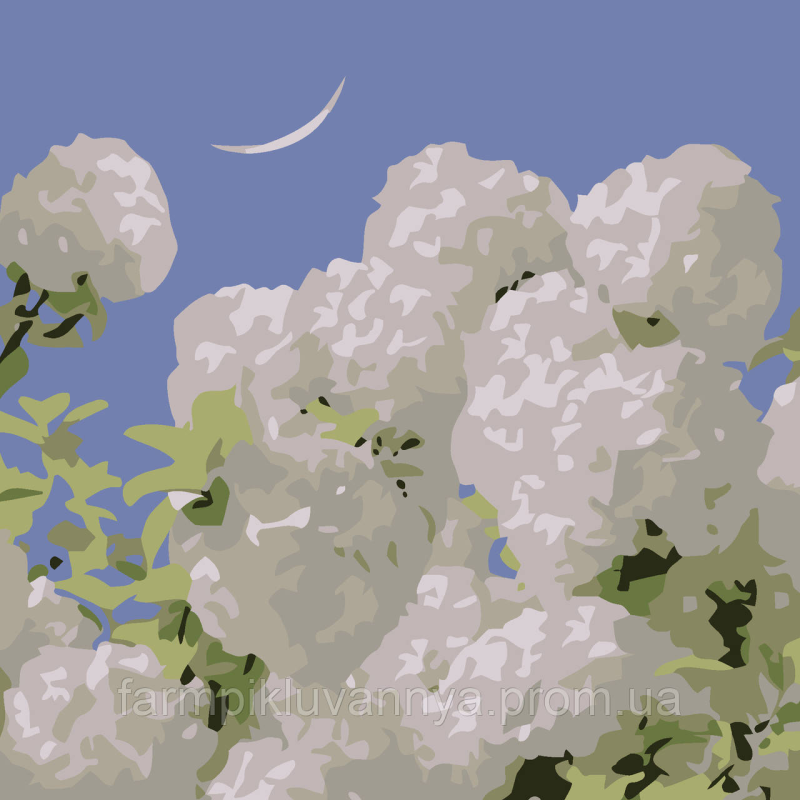 Картина за номерами Strateg Білі гортензії розміром 20х20 см (HH7112) Картина за номерами Strateg Білі гортензії розміром 20х20 см (HH7112)